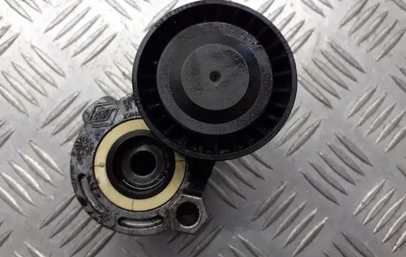 Renault Megane II Alternator belt tensioner pulley 8200371058