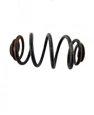 Rear coil spring