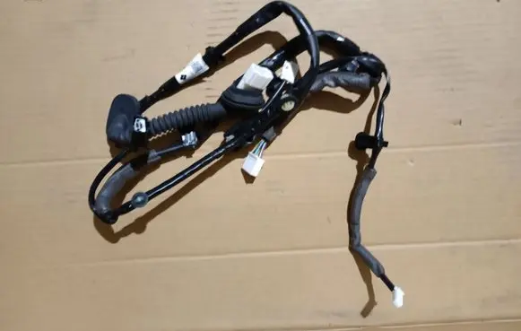 Rear door wiring loom