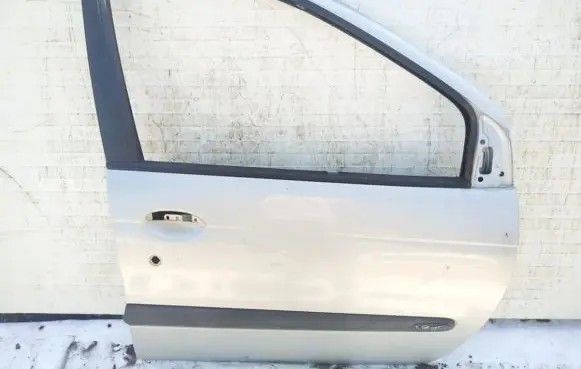 Renault Scenic I Front door pilkos