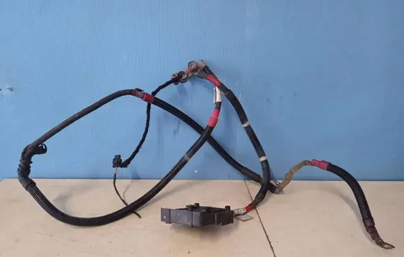 Positive wiring loom