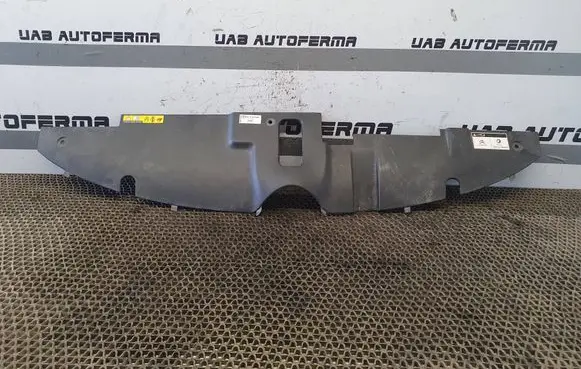 Citroen C4 II Picasso Engine bonnet/hood lock trim molding 9676038577 A0006C02 C06452091
