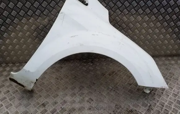 Ford Focus Fender