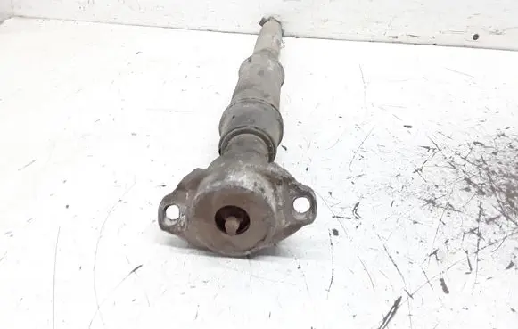 Citroen C4 I Rear shock absorber/damper
