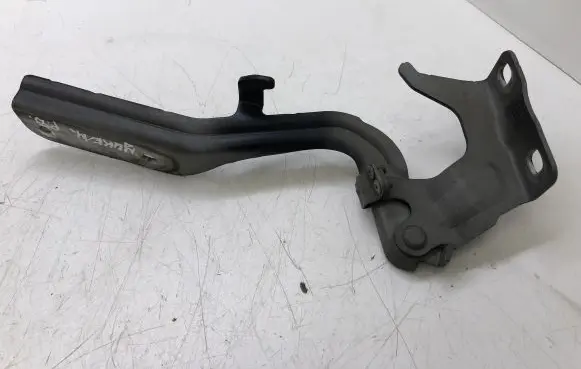 Nissan Juke I F15 Engine bonnet/hood hinges