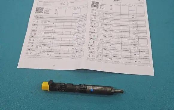 Renault Modus Fuel injector EJBR05102D IMPRK1503370