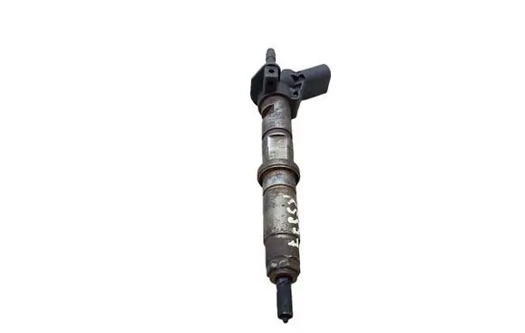 Volkswagen Crafter Fuel injector 0445115029 K5577 076130277