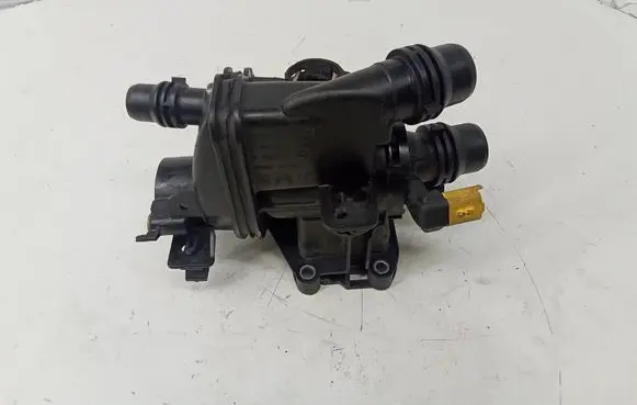 Thermostat/thermostat housing