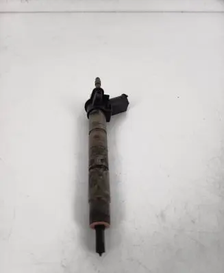 BMW X5 E70 Fuel injector 7805430 0445117