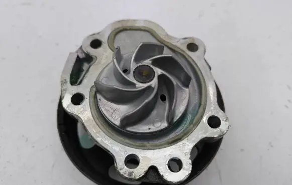 Suzuki Vitara (LY) Water pump