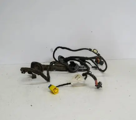 Audi A4 S4 B8 8K Front door wiring loom 8K0971029B