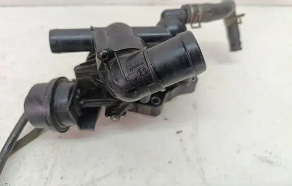 Thermostat/thermostat housing