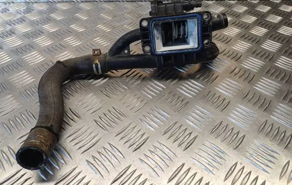 Thermostat/thermostat housing