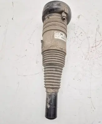 Audi e-tron Front air suspension shock absorber 4KE616039G 4KE616039E