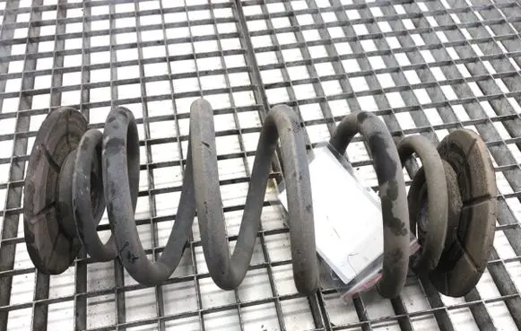Rear coil spring