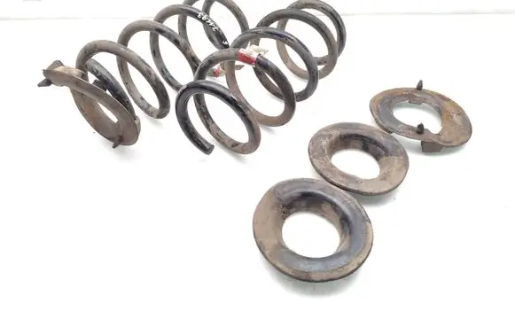 Tesla Model 3 Rear coil spring 104447201E