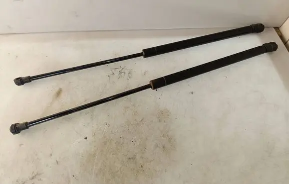 Tailgate/trunk strut/damper