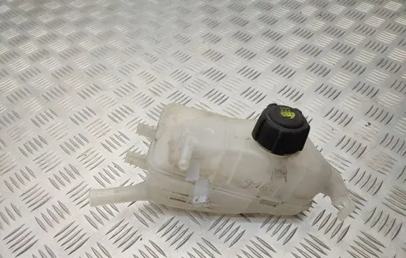 Renault Scenic III - Grand scenic III Coolant expansion tank/reservoir 217100005R