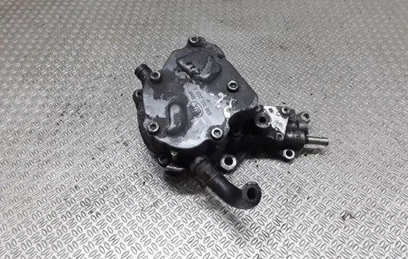 Volkswagen Sharan Vacuum pump 038145209A