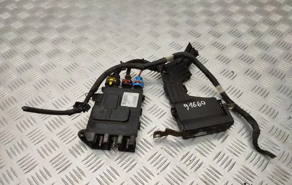 Renault Scenic III - Grand scenic III Positive wiring loom 243800011R