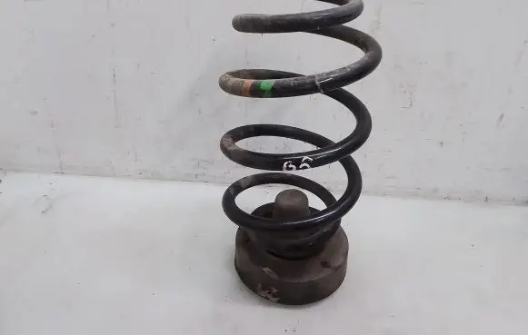 Volkswagen PASSAT B5 Rear coil spring