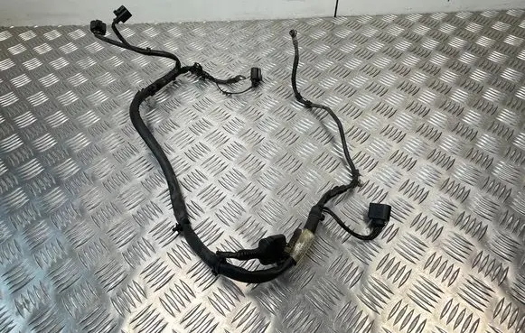 Volkswagen Golf Plus Wires (generator/alternator) 1K0971349GA 15092008 TAB016331AD
