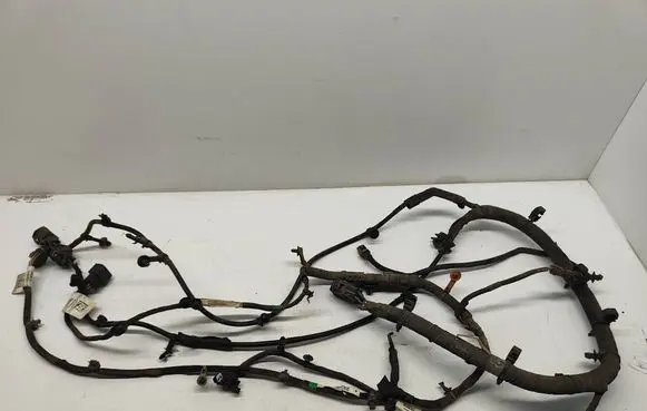 Other wiring loom