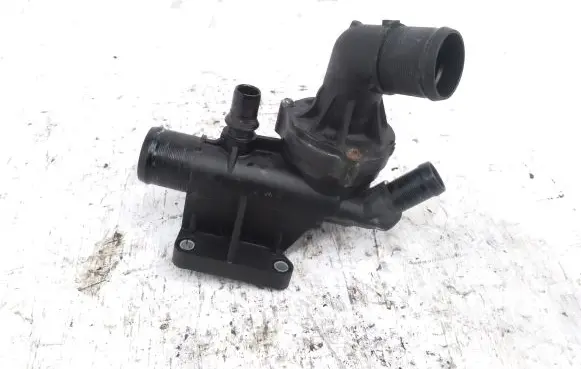 Thermostat/thermostat housing