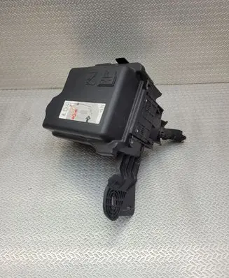 Citroen C3 Fuse box set 9671924480