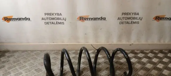 Renault Trafic III (X82) Front coil spring