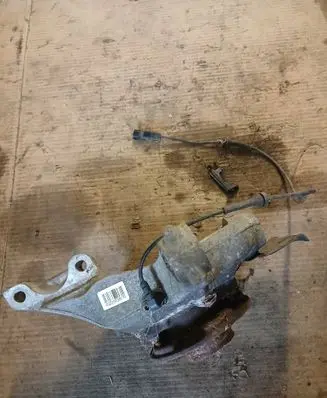 Renault Laguna III Front wheel hub spindle knuckle 402006387R