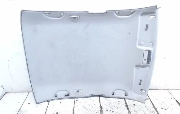 Seat Leon (1M) Headlining 