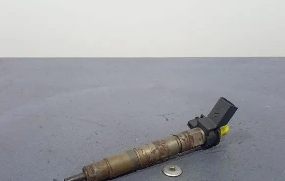 BMW X6 E71 Fuel injector 7805430