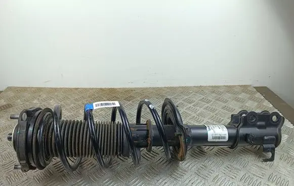 Front shock absorber with coil spring