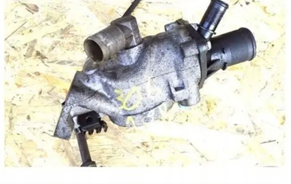 Peugeot 306 Thermostat/thermostat housing