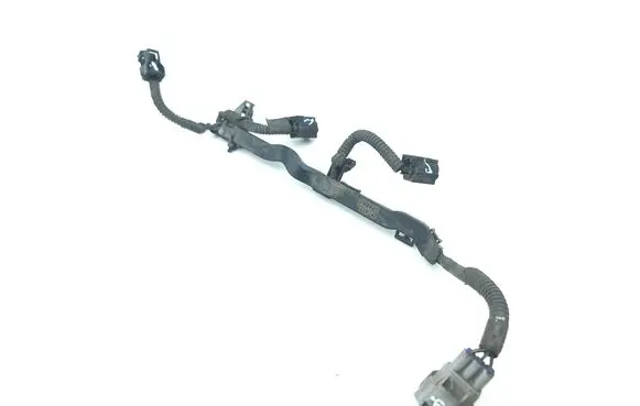 Lexus GS 300 350 430 450H Fuel injector wires 4173