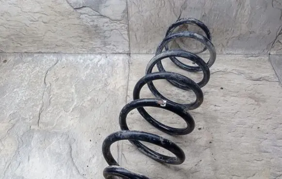 Volkswagen Golf V Rear coil spring