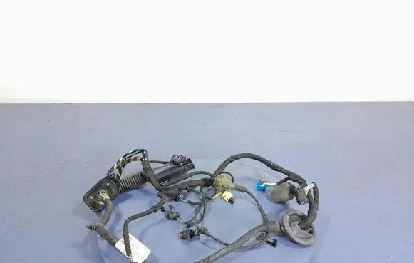 Audi A8 S8 D2 4D Other wiring loom 4N0971029AN