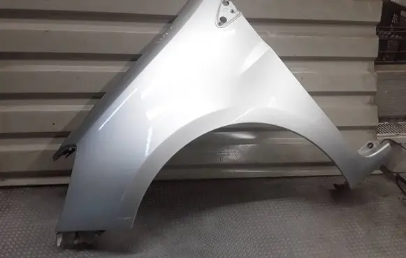 Renault Clio III Fender 