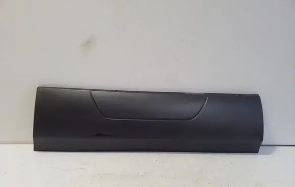 Rear door trim (molding)