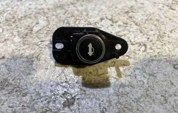 Tailgate opening switch