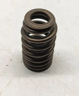 Dodge Challenger Valve spring 5037382BC