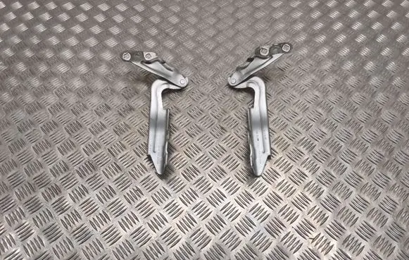 Ford Galaxy Engine bonnet/hood hinges EM2BR16800