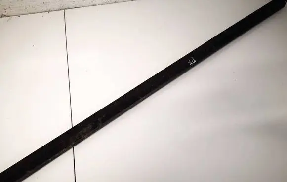 Ford Focus Front door glass trim molding 