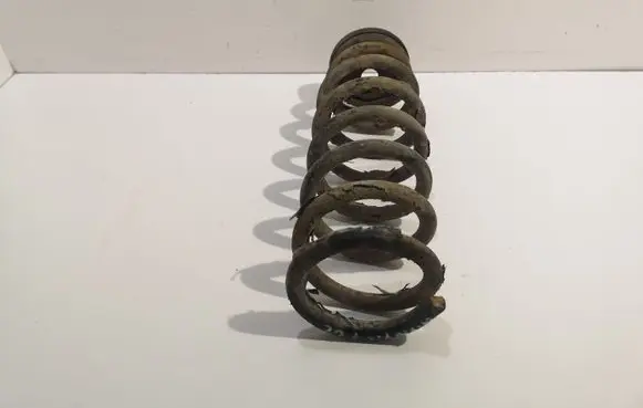 Hyundai Sonata Rear coil spring