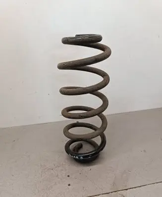 Rear coil spring