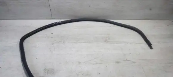 Fiat 500 Front door rubber seal 
