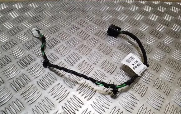 Mercedes-Benz CLS C219 Rear door wiring loom A2195408005