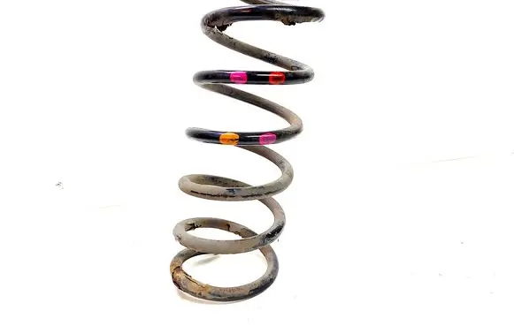 Ford Grand C-MAX Rear coil spring
