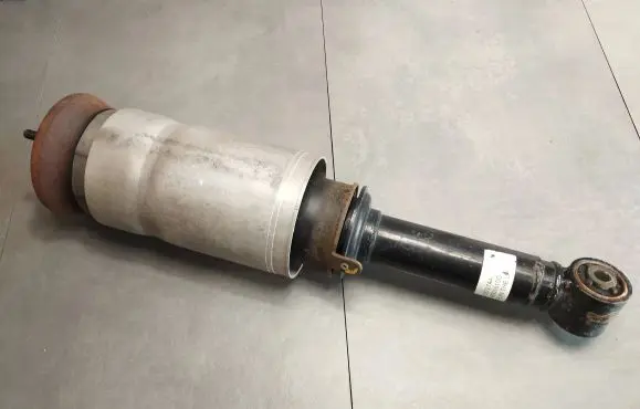 Land Rover Range Rover Sport L320 Front shock absorber/damper RNB501610G 22257274A